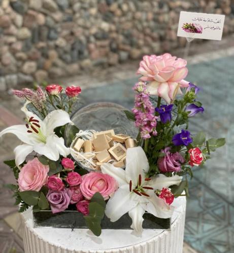 بكج كريستال بلَش باتشي