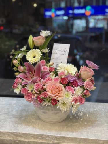 فازه نبض الزهر