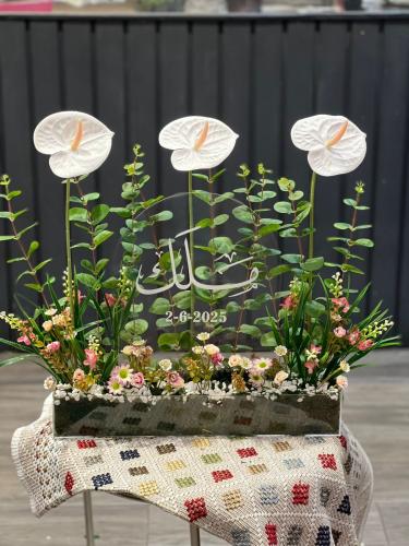 استاند أول فرحه