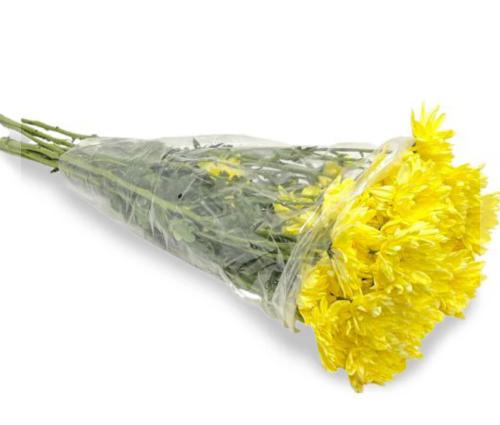 كريز اصفر 10 اغصان