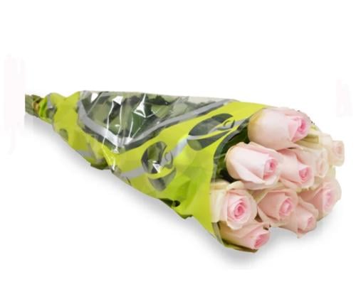 جوري وردي فاتح 10 اغصان