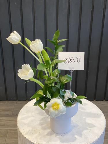 فازه توليب ڤايب