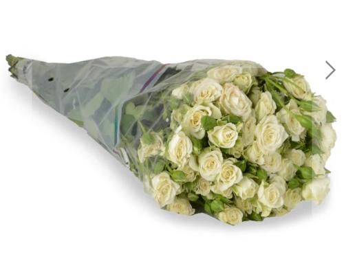 بيبي روز ابيض 10 اغصان