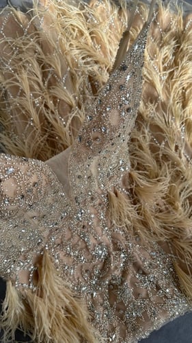 فستان بتطريز ريش