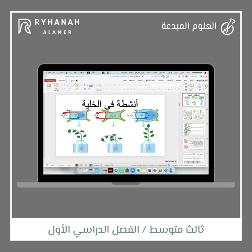 7 انشطة في الخلية