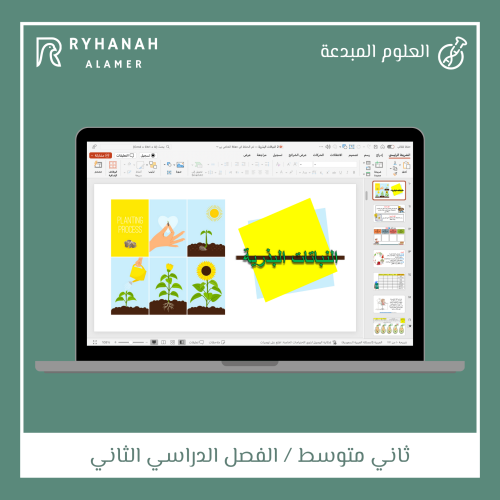 6- النباتات البذرية