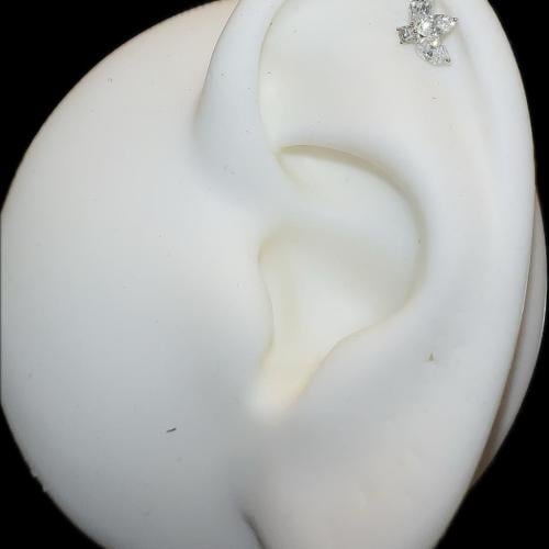 حلق بيرسينق الماس