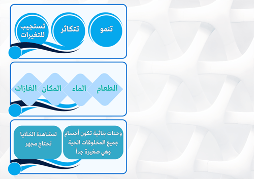 طباعة مطوية ورق عادي