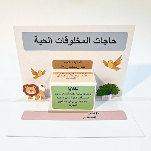 طباعة مطوية ورق مقوى