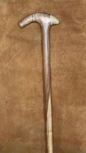 عصي عتم زيتون