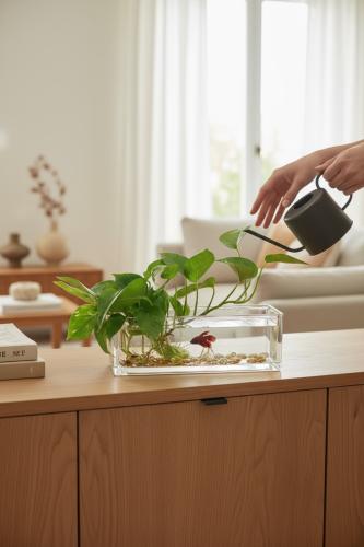 حوض بوتس مع سمكة