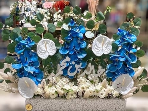 استقبال مواليد