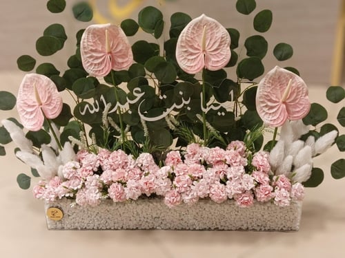 استقبال مواليد