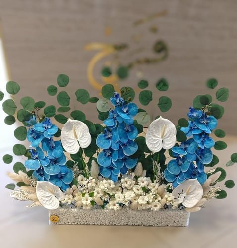 استقبال مدخل