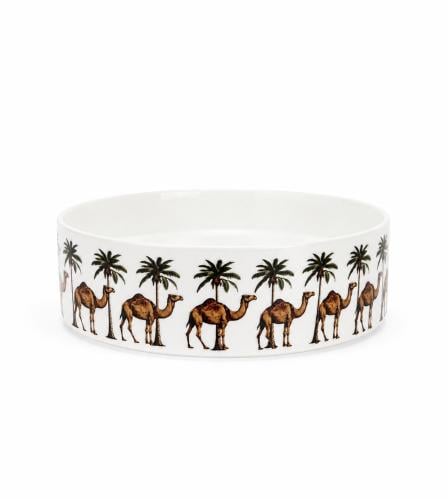 صحن ماتشا