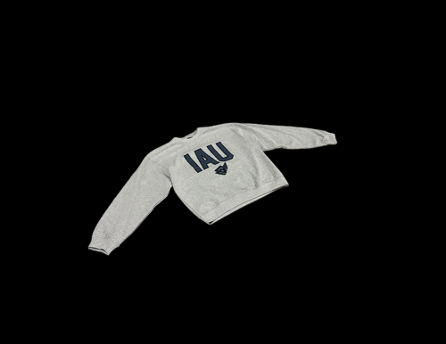 IAU Sweater