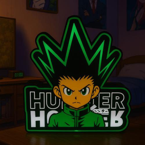 اضائة هانتر انمي hunter gon