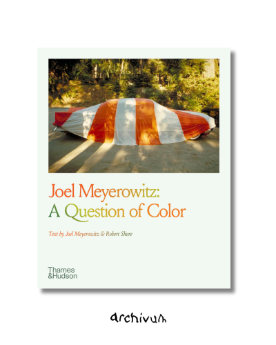 Joel Meyerowitz: A Question of Color - Paperback