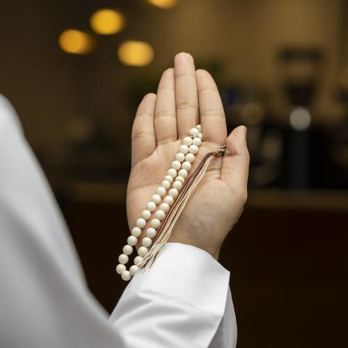 عظم جمل كروي كركوشه