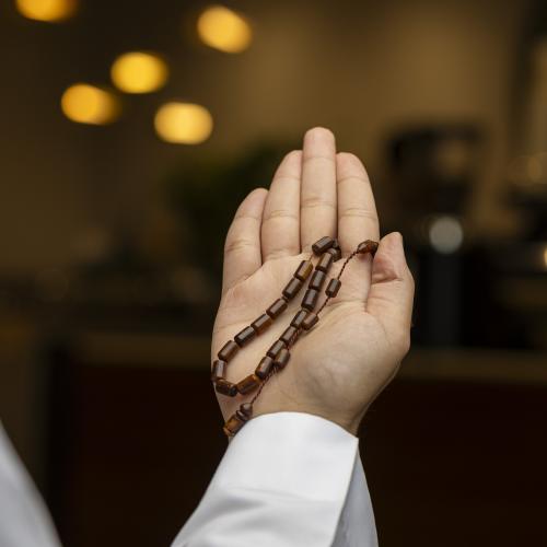 كوك صنوبري تمليكه تركي