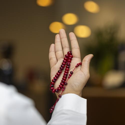 فاتوران ذروي تمليكه عنابي