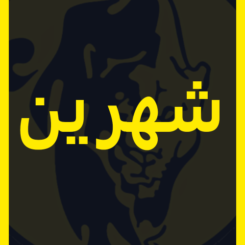 اشتراك شهرين
