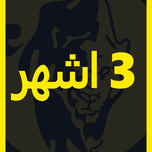 اشتراك 3 أشهر