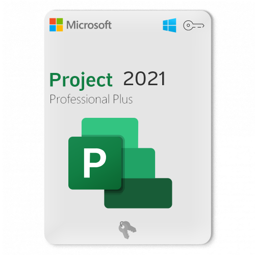 بروجكت بروفيشنال ٢٠٢١ - Project Professional 2021