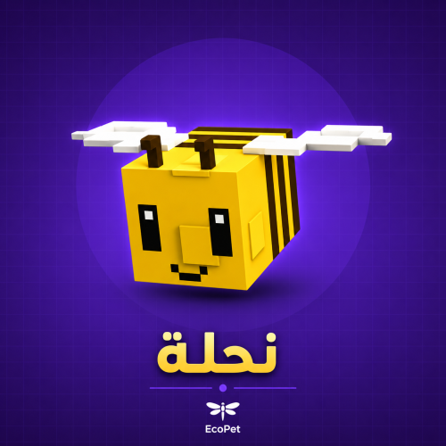 Bee | نحله