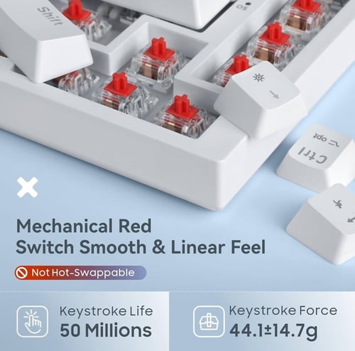 كيبورد Baytion 75%