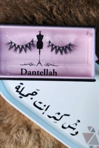 Natural Mink Lashes DS10