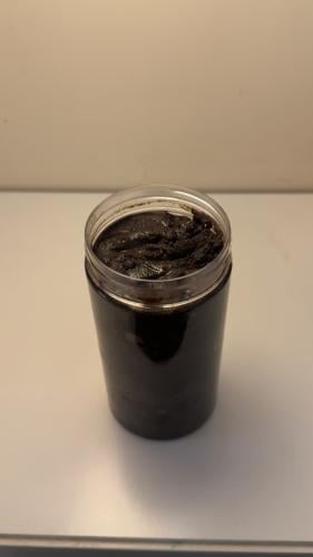 دلكة الفواكة