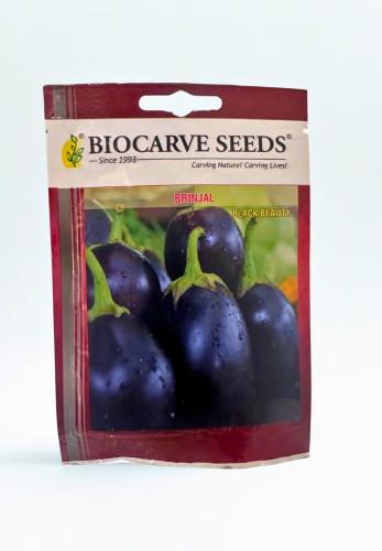 بذور باذنجان