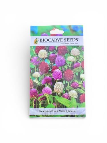 بذور جومفرينا جلوبيوزا ميكس