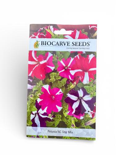 بذور بيتونيا إن سي ستار ميكس