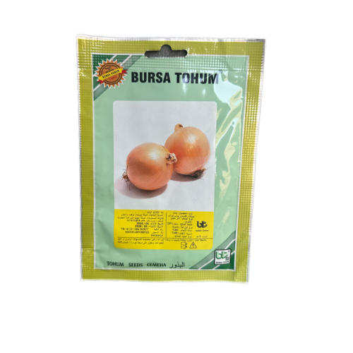 بذور بصل اصفر تركي