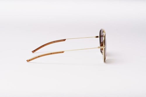 نظارة شمسية رجالية | فاينس VINES