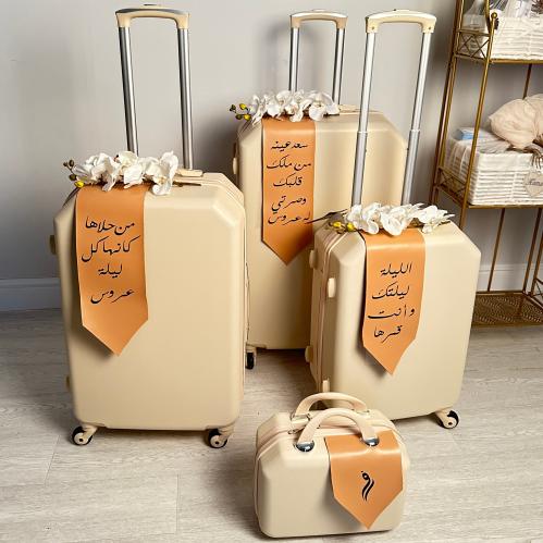 تنسيقات الشنط الجلدية