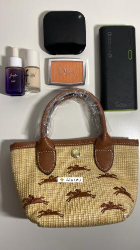Longchamp brown