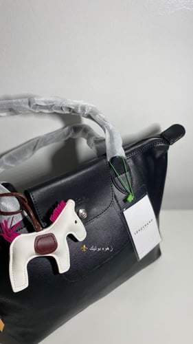 Longchamp leather Black M