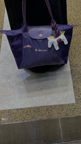 لونق تشامب M