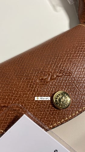 لونق تشامب M