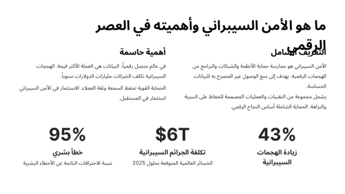 الأمن السيبراني