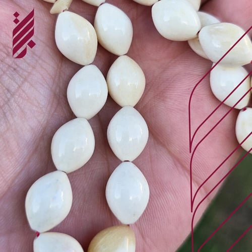 سبحة عظم جمل