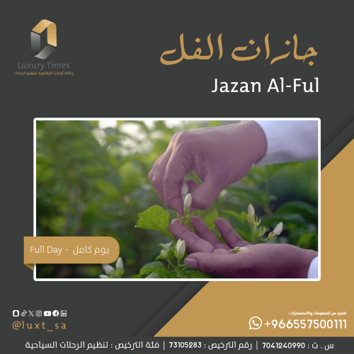 جازان الفل