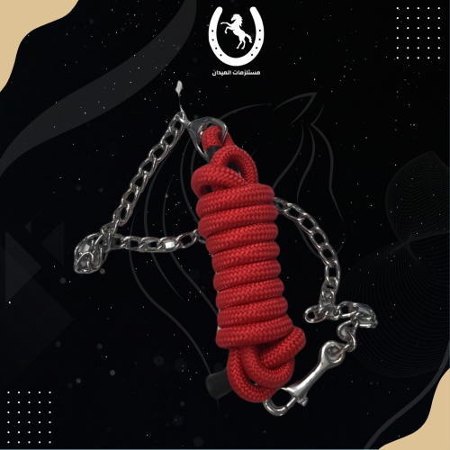 Chain steering