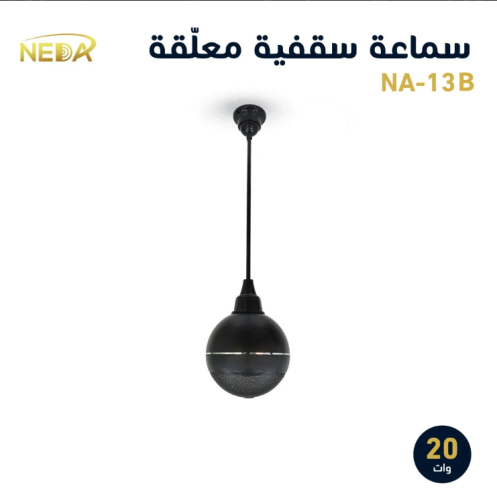 NA-13