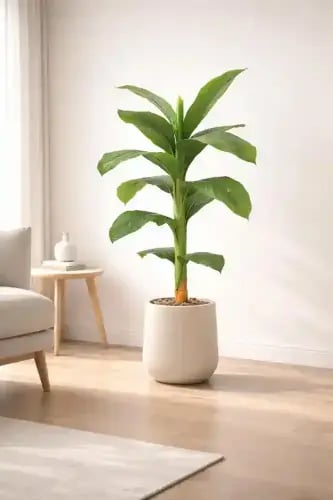 شجرة موز صناعي 110 سم - حوض بلاستيك