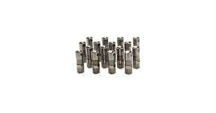 LS HYDRAULIC ROLLER LIFTERS KIT
