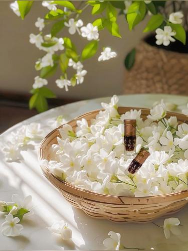 كمبودي روز بزهرة الياسمين الفرنسي